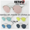 Half Rim with Metal Eyebar Fitted in fashion Colourfull Lens Sunglasses Km17092 New Design