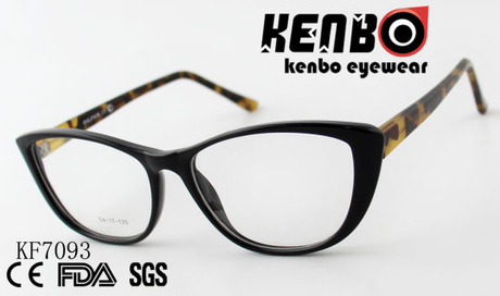 High Quality PC Optical Glasses Ce FDA Kf7093